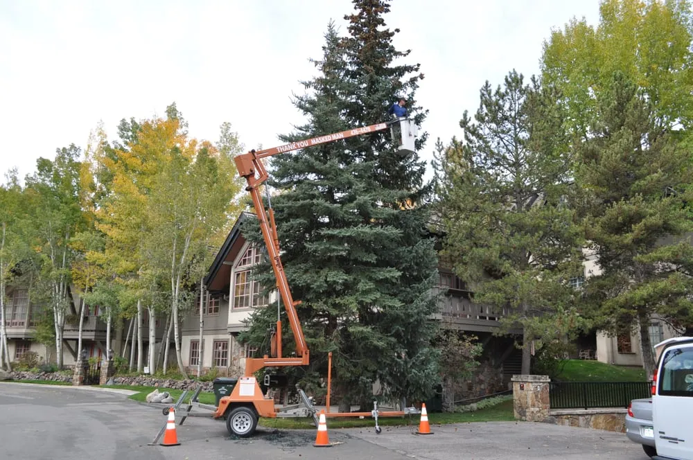 Expert landscape installation for homes across Minturn, CO - Thank You Masked Man Services