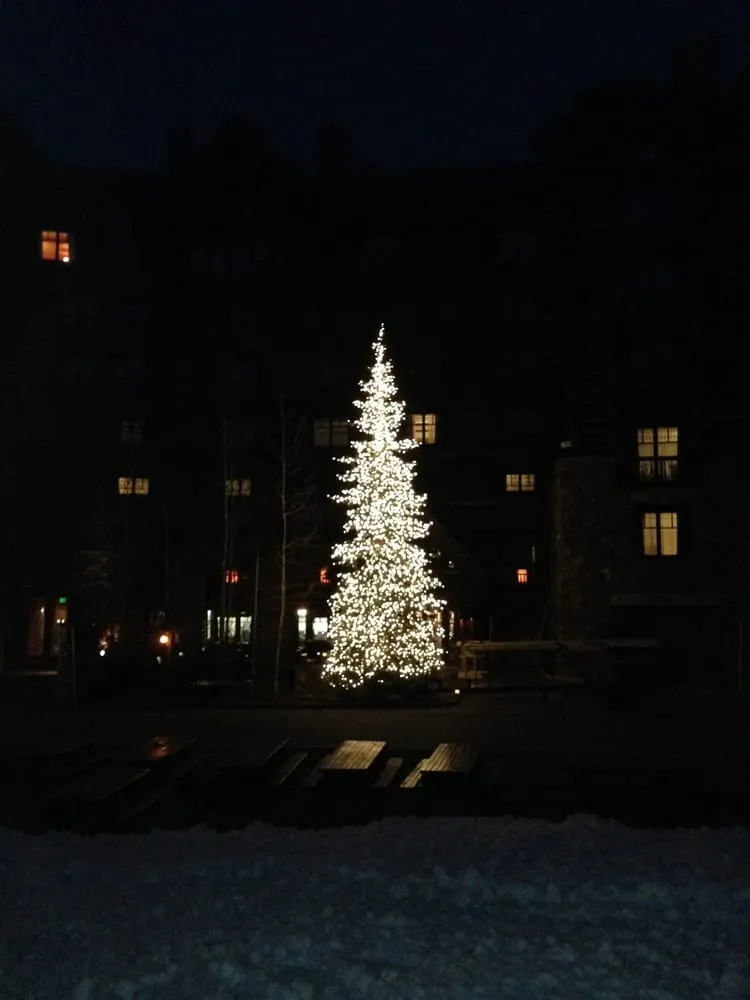 Expert yard maintenance in Minturn, CO - Thank You Masked Man Services