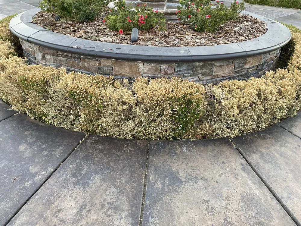 Custom landscape installation for homes across Las Vegas, NV - Thanx Bubba