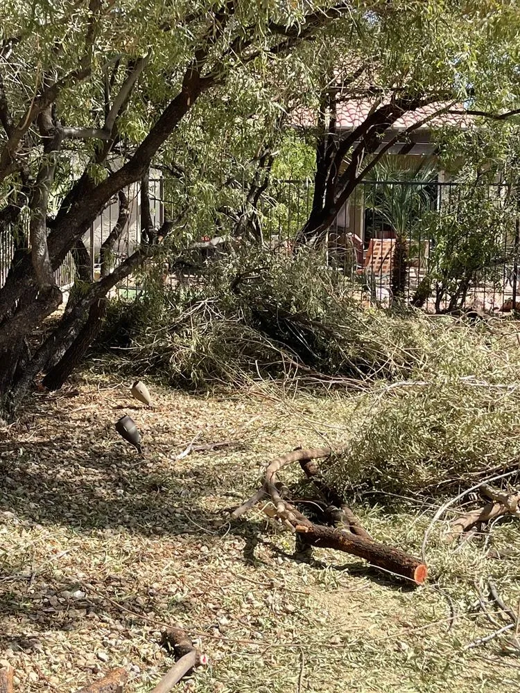 Professional landscaping services for homes across Las Vegas, NV - Thanx Bubba