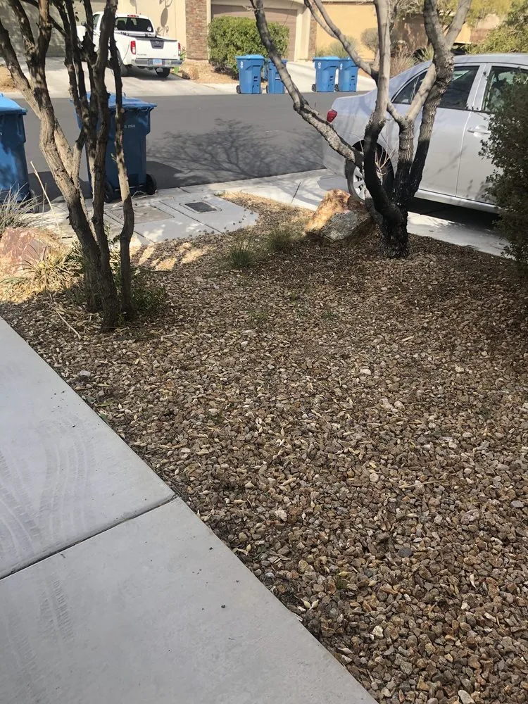 Custom yard maintenance experts serving Las Vegas, NV - Thanx Bubba
