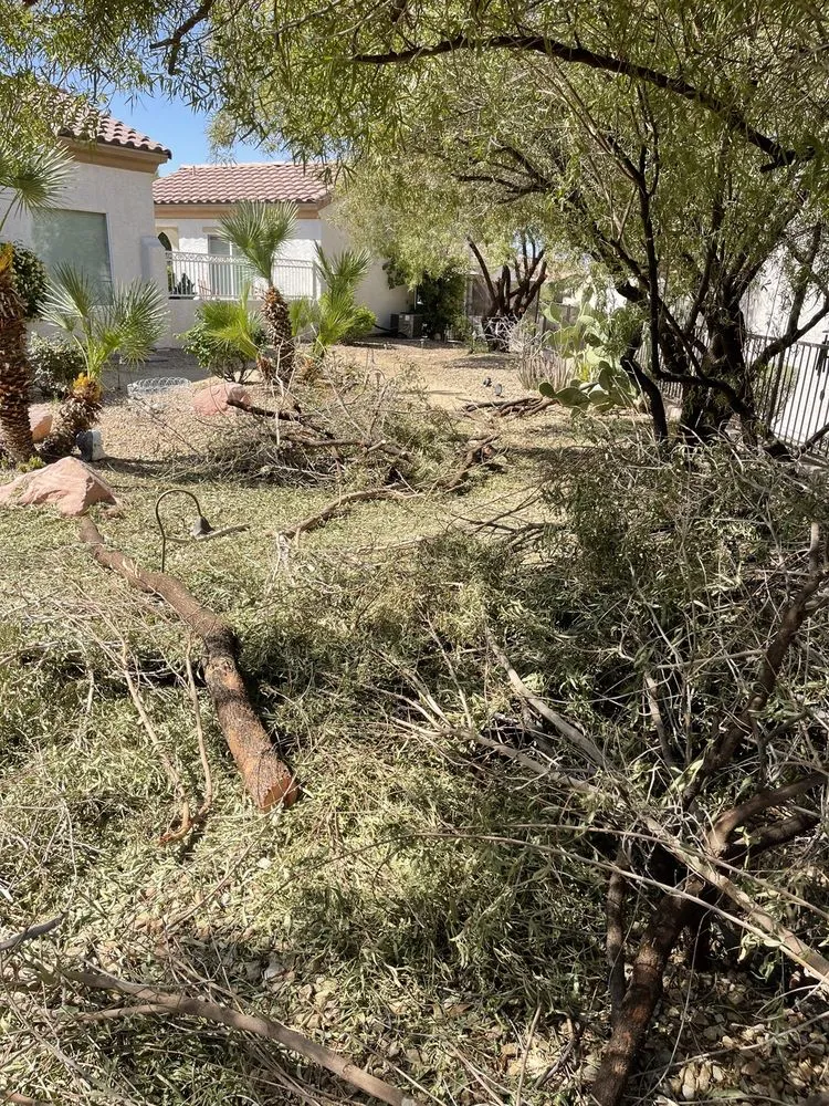 Affordable yard cleanup service in Las Vegas, NV - Thanx Bubba