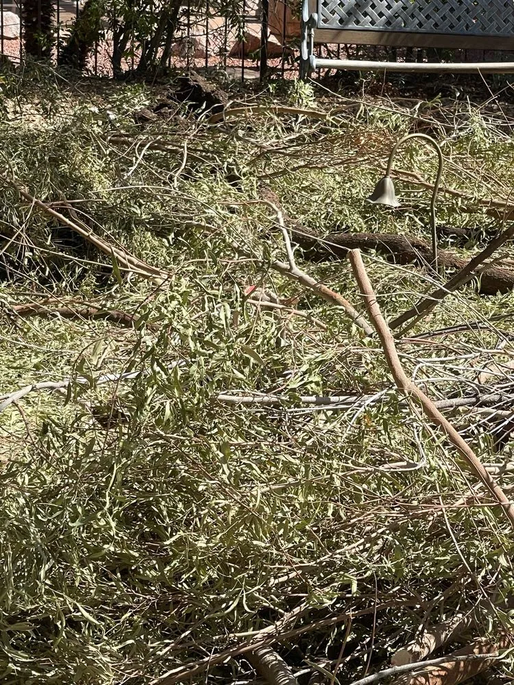 Trusted lawn mowing service for residential properties across Las Vegas, NV - Thanx Bubba