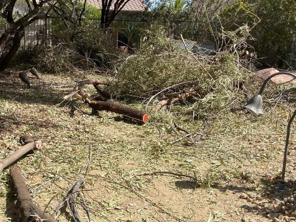 Reliable residential landscaping in Las Vegas, NV by Thanx Bubba