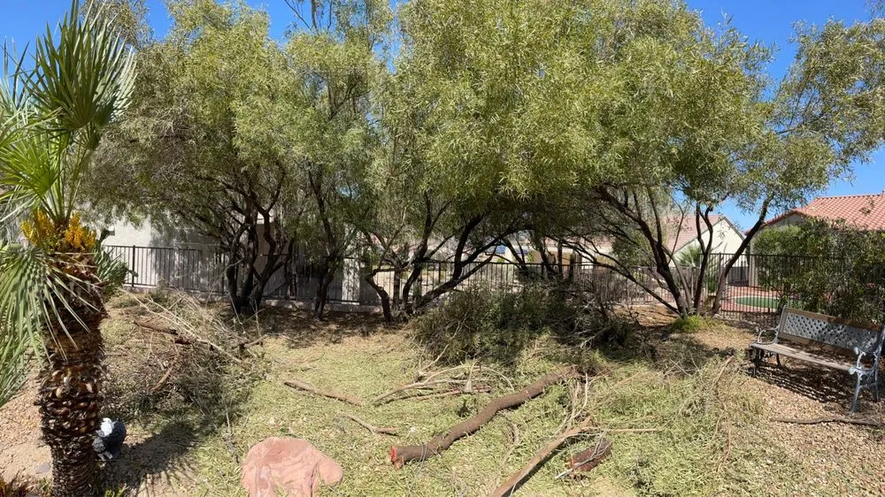 Trusted residential landscaping experts serving Las Vegas, NV - Thanx Bubba