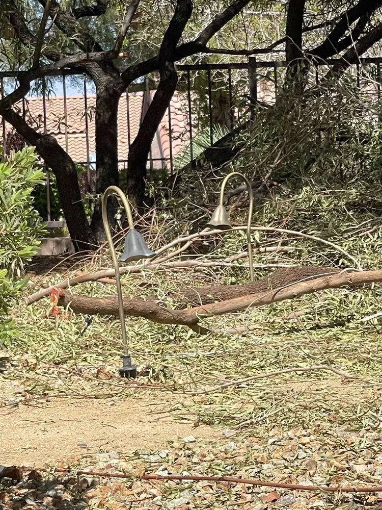 Expert landscape installation for outdoor upgrades in Las Vegas, NV by Thanx Bubba