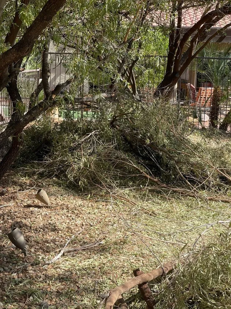 Professional yard cleanup service for beautiful yards across Las Vegas, NV - Thanx Bubba