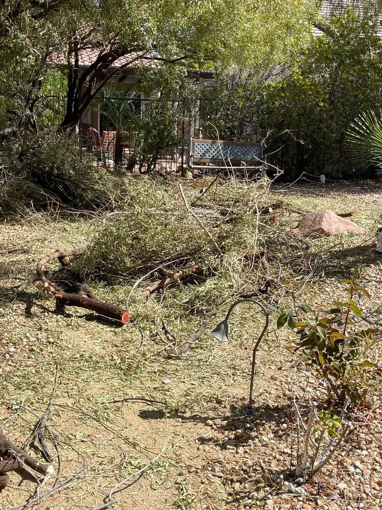 Custom residential landscaping in Las Vegas, NV - Thanx Bubba