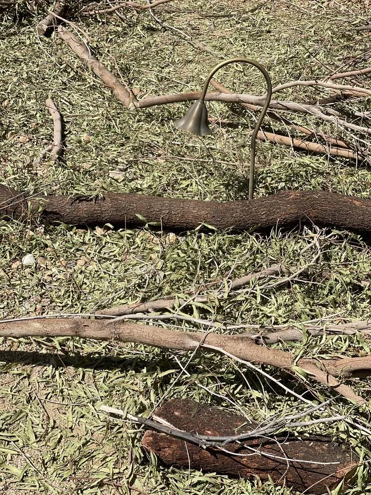 Reliable residential landscaping in Las Vegas, NV - Thanx Bubba