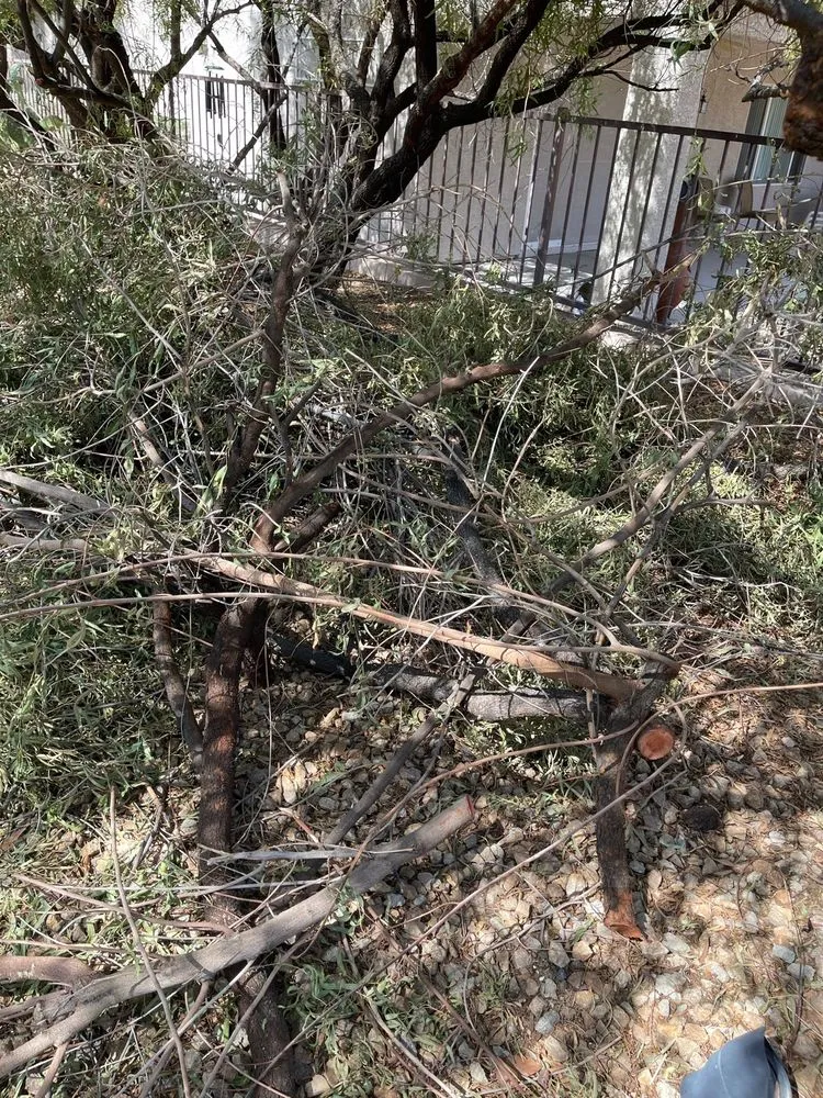 Local garden landscaping with custom design across Las Vegas, NV - Thanx Bubba