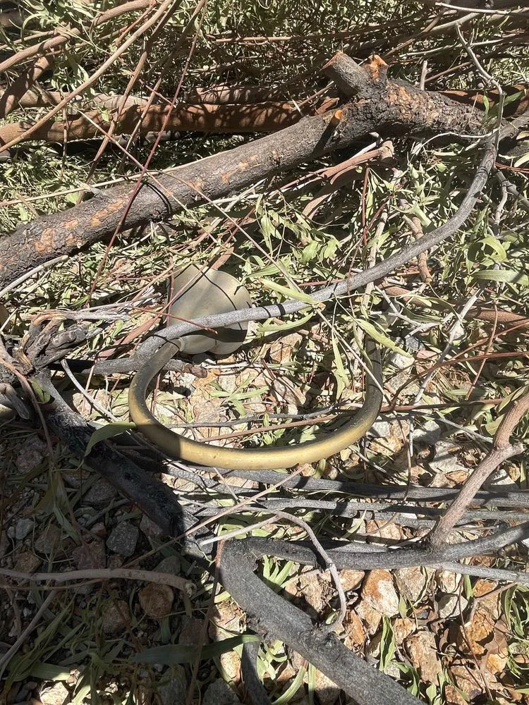 Affordable garden landscaping for homes in Las Vegas, NV by Thanx Bubba