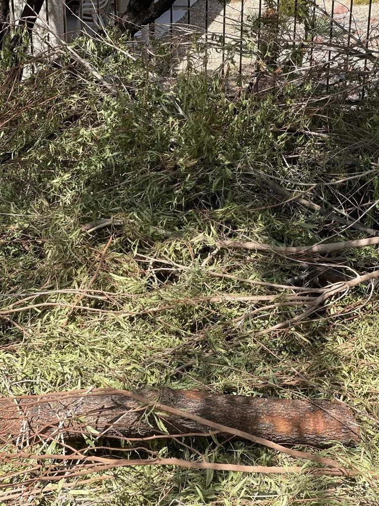 Trusted residential landscaping for beautiful yards across Las Vegas, NV - Thanx Bubba