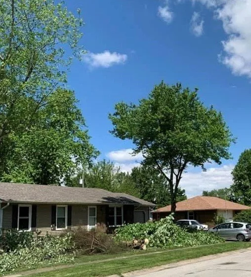 Professional landscape installation experts serving Shelbyville, IN - Tharp's Lawn Care & Tree Service