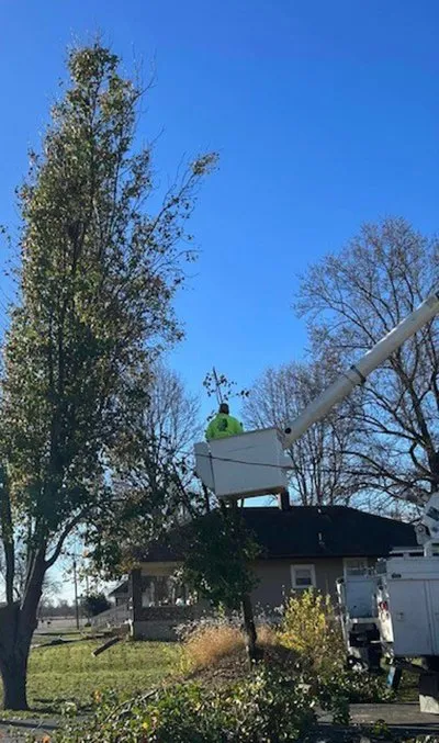 Professional lawn mowing service for residential properties in Shelbyville, IN by Tharp's Lawn Care & Tree Service