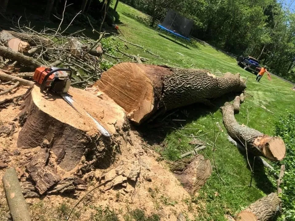 Expert lawn mowing service in Shelbyville, IN - Tharp's Lawn Care & Tree Service