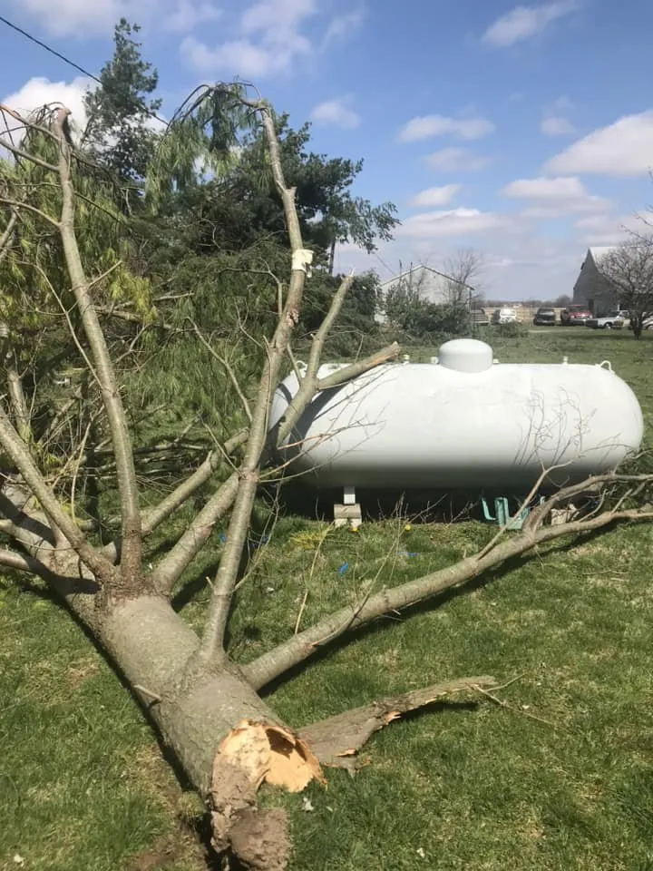 Professional landscaping services for outdoor upgrades across Shelbyville, IN - Tharp's Lawn Care & Tree Service