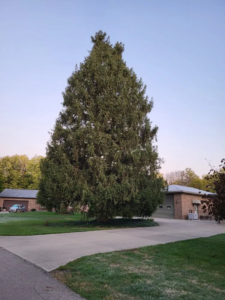 Reliable landscape design for homes in Shelbyville, IN by Tharp's Lawn Care & Tree Service