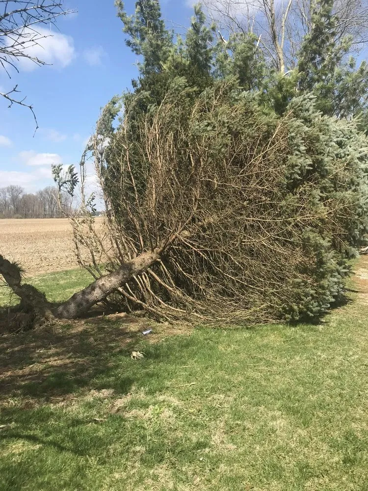 Professional landscaping services for homes across Shelbyville, IN - Tharp's Lawn Care & Tree Service