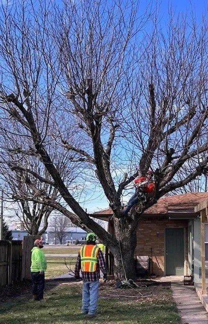 Expert yard cleanup service for residential properties across Shelbyville, IN - Tharp's Lawn Care & Tree Service