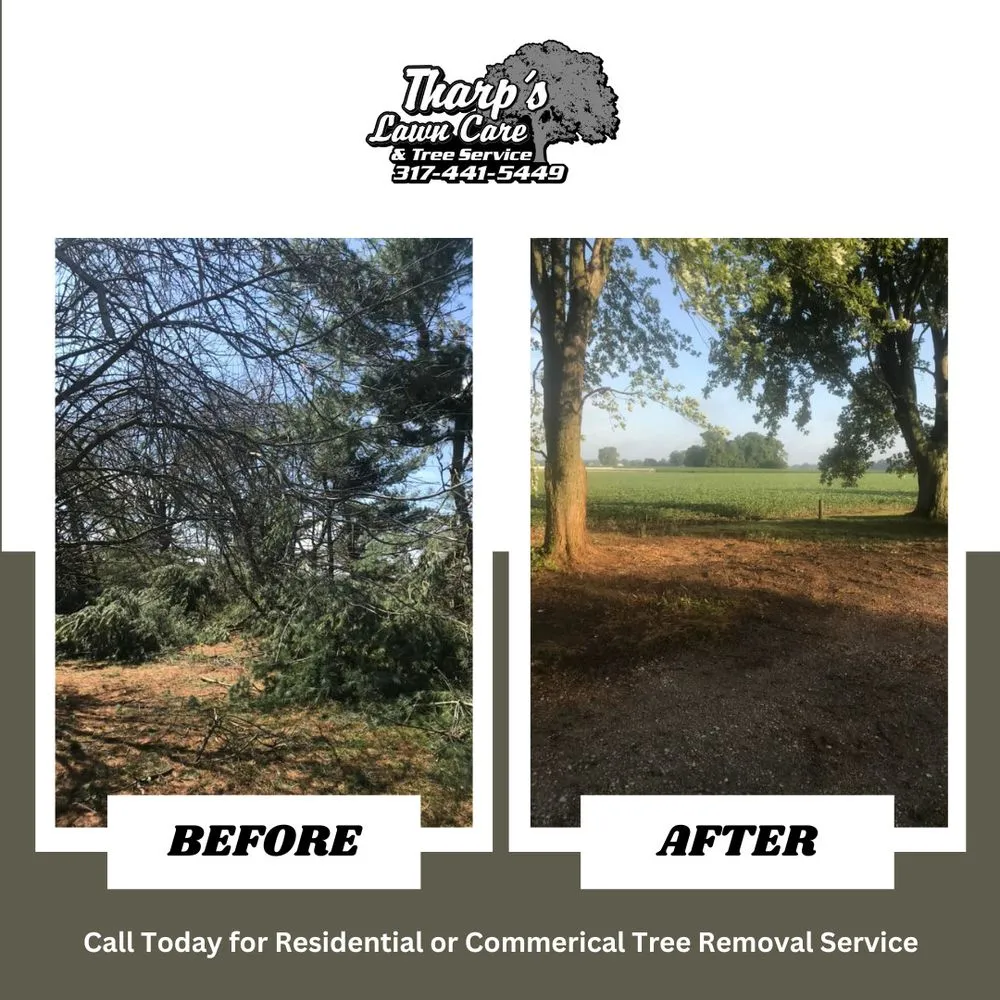 Expert lawn care service experts serving Shelbyville, IN - Tharp's Lawn Care & Tree Service