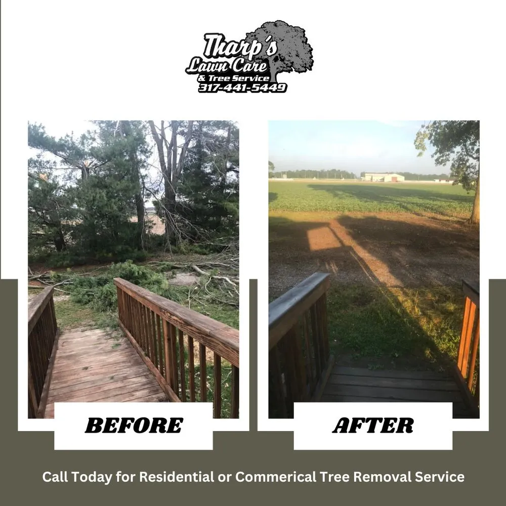 Expert residential landscaping experts serving Shelbyville, IN - Tharp's Lawn Care & Tree Service