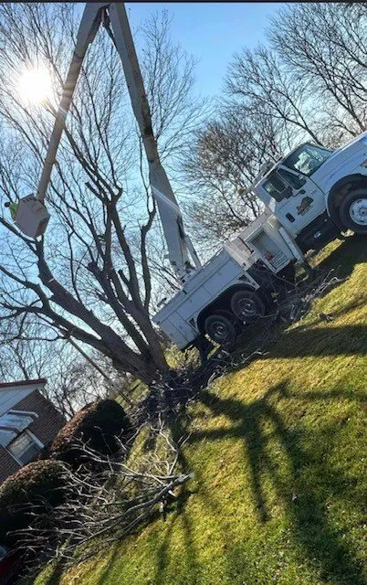 Affordable lawn care service in Shelbyville, IN - Tharp's Lawn Care & Tree Service