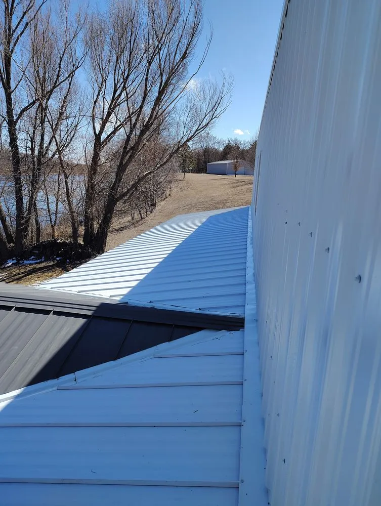 Expert yard cleanup service in West Fargo, ND - That 1 Guy