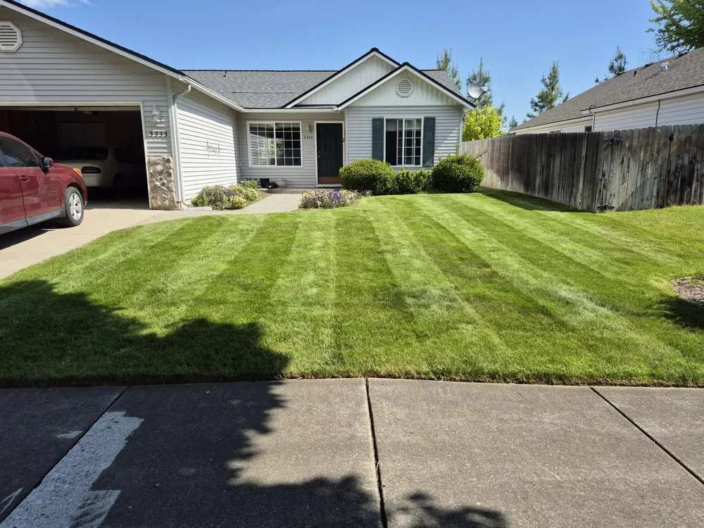Top-rated yard cleanup service for outdoor upgrades in Post Falls, ID by That Bald Guy's