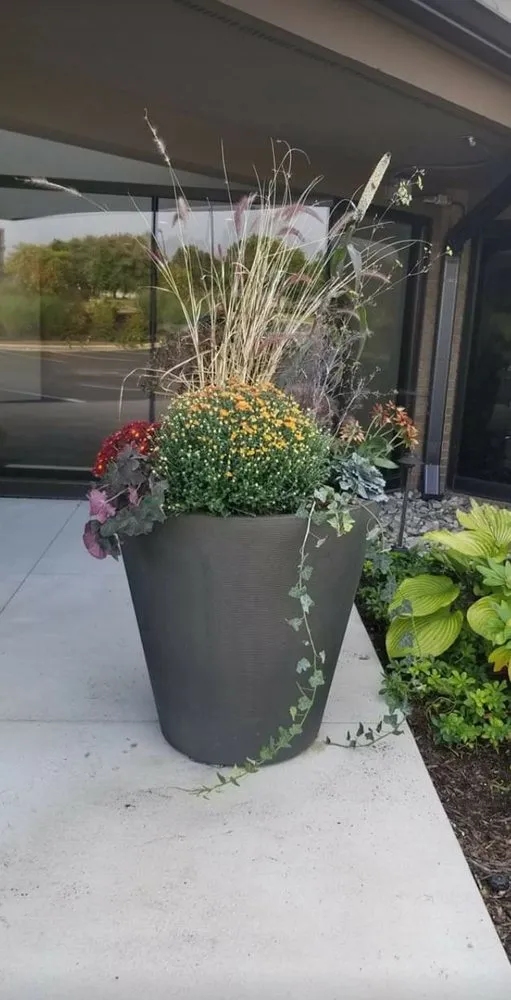 Local landscape design experts serving Gowen, MI - That Garden Girl