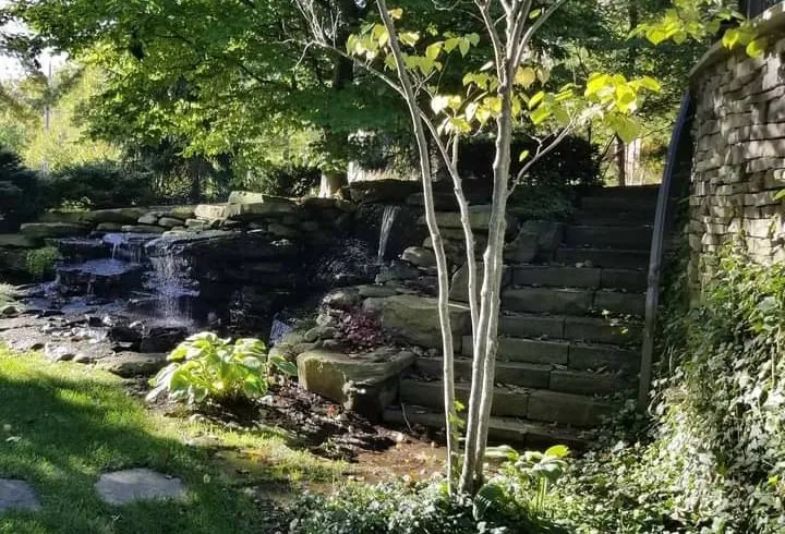Custom lawn care service for year-round maintenance in Gowen, MI by That Garden Girl