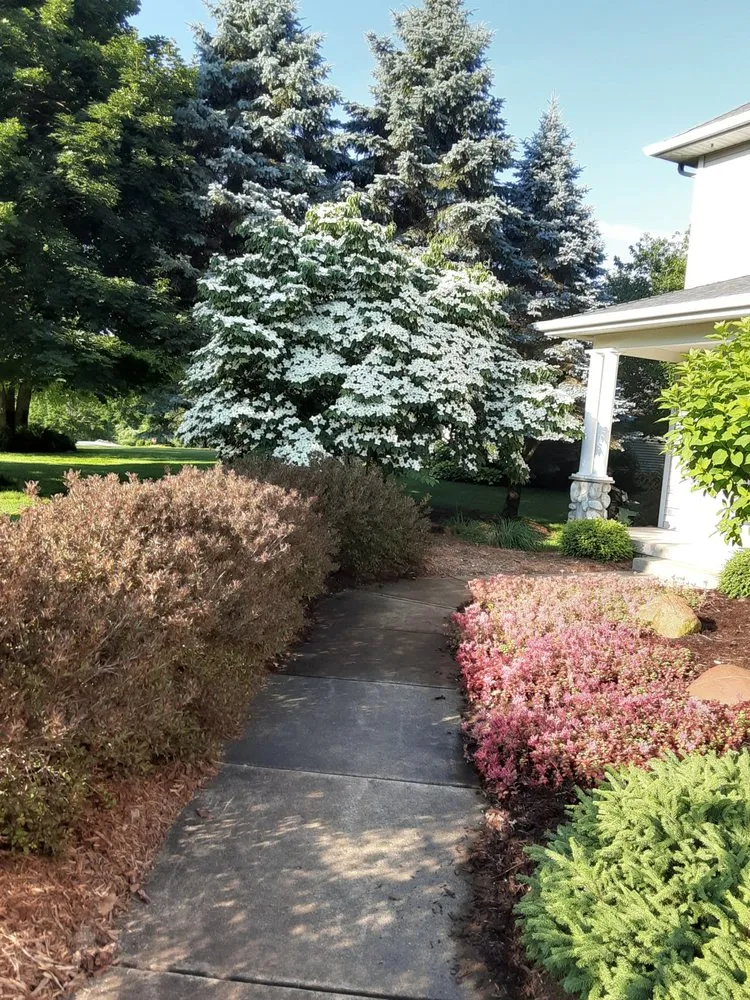 Expert yard cleanup service experts serving Gowen, MI - That Garden Girl