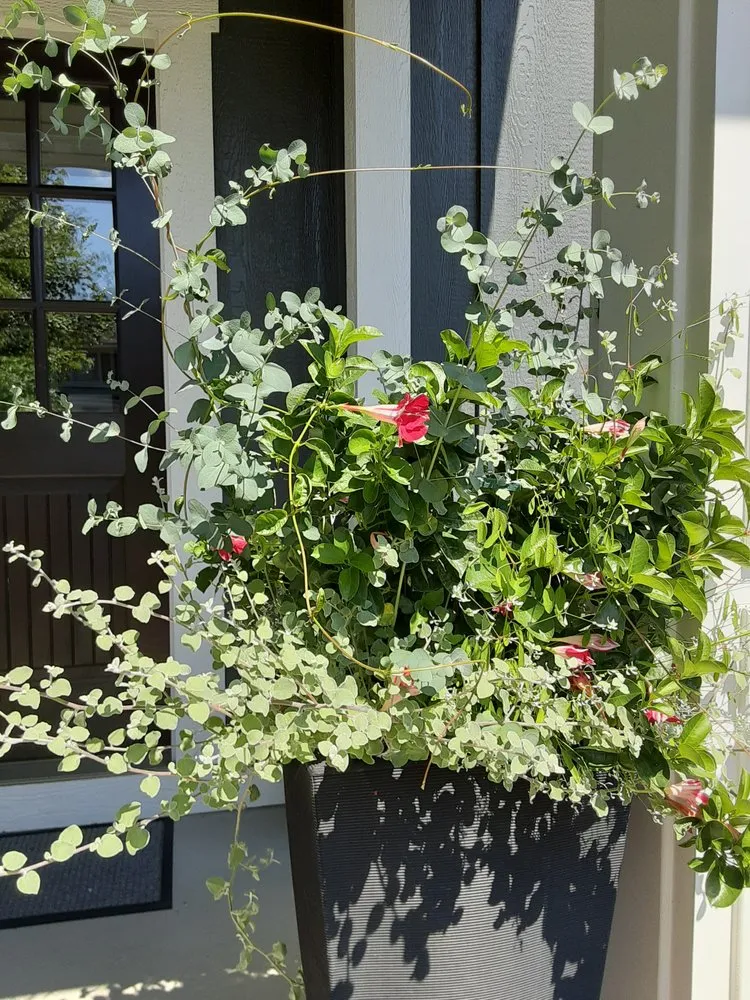 Reliable outdoor landscaping for homes in Gowen, MI by That Garden Girl