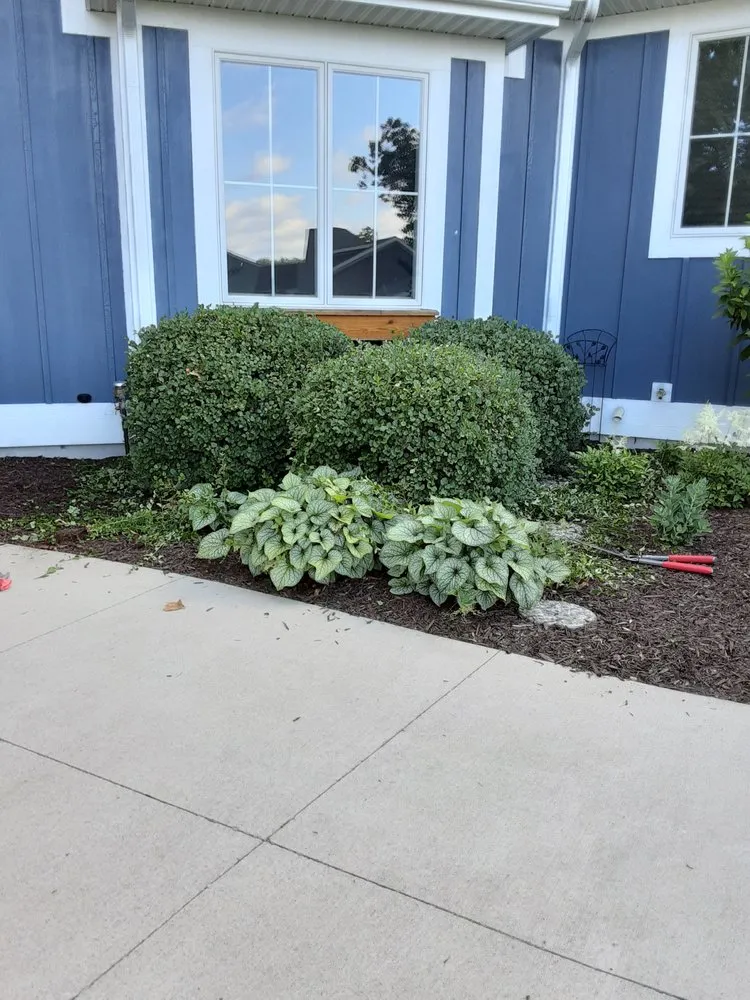 Affordable yard cleanup service in Gowen, MI - That Garden Girl