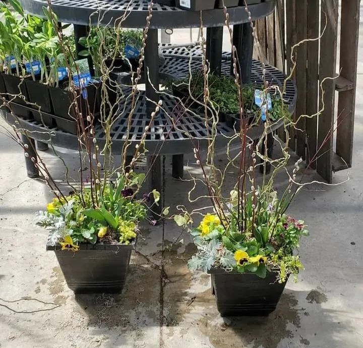 Expert landscaping services in Gowen, MI by That Garden Girl