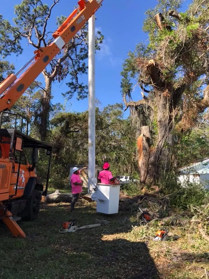 Professional lawn care service for residential properties in St. Augustine, FL by That Girl Lawn Care & Landscaping Design