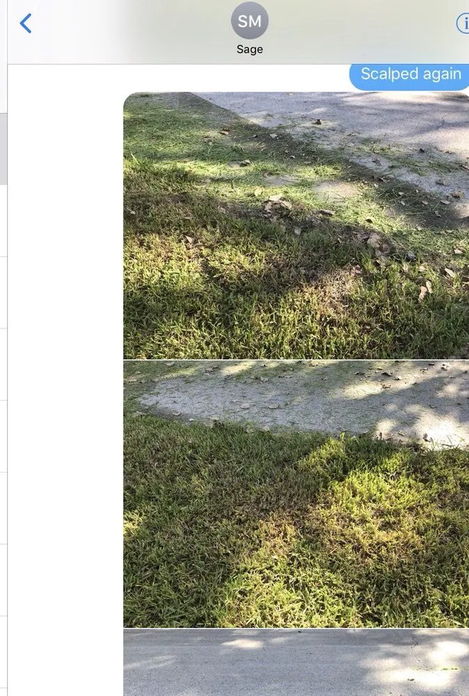 Trusted landscape design experts serving St. Augustine, FL - That Girl Lawn Care & Landscaping Design