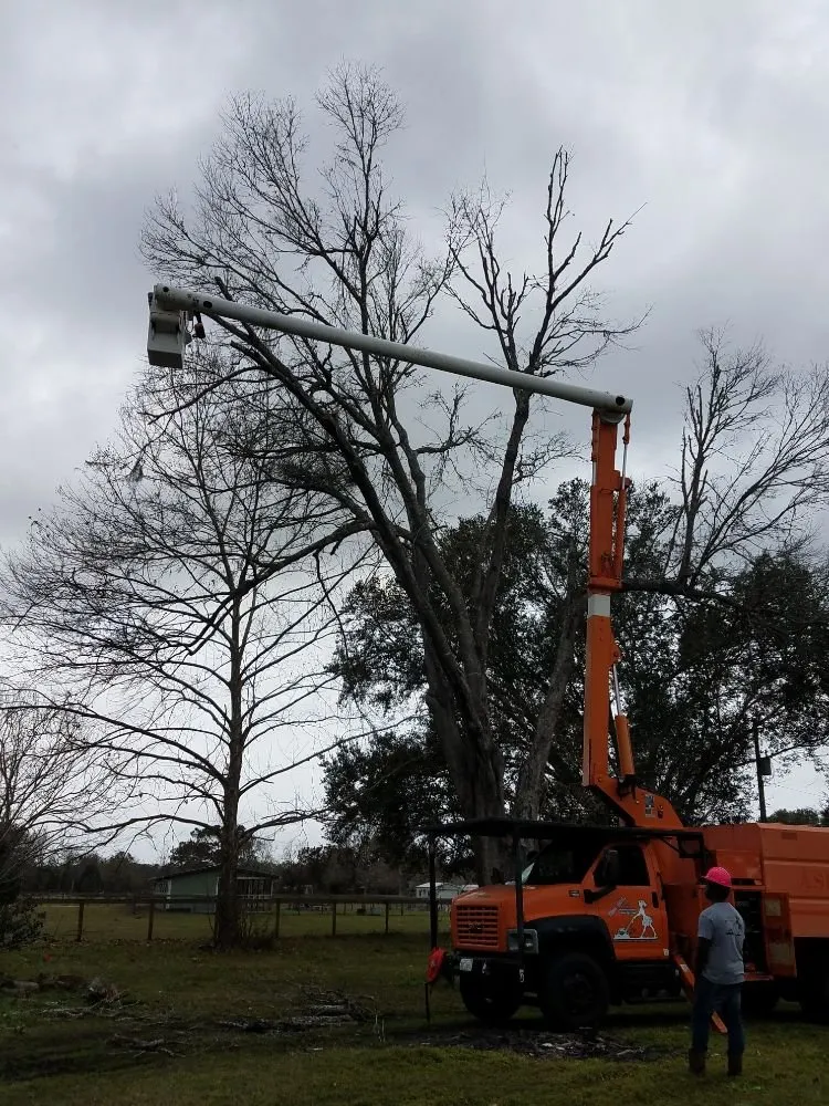 Custom landscaping services for residential properties across St. Augustine, FL - That Girl Lawn Care & Landscaping Design