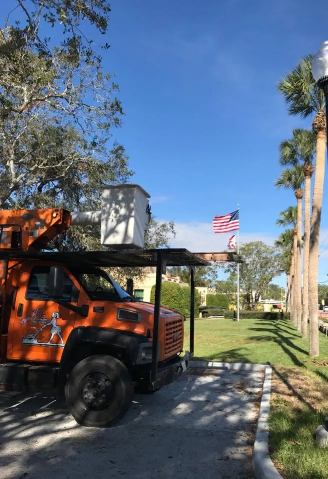 Trusted landscape design for beautiful yards across St. Augustine, FL - That Girl Lawn Care & Landscaping Design