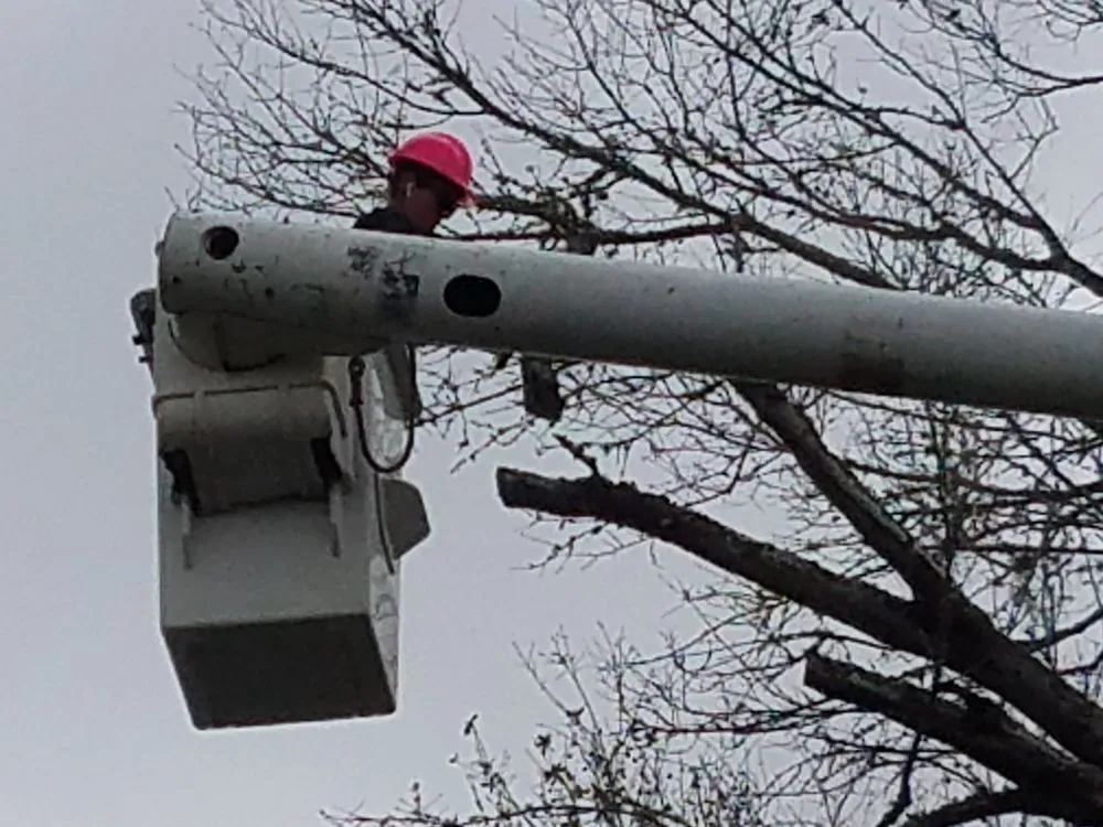 Custom lawn mowing service for homes in St. Augustine, FL by That Girl Lawn Care & Landscaping Design