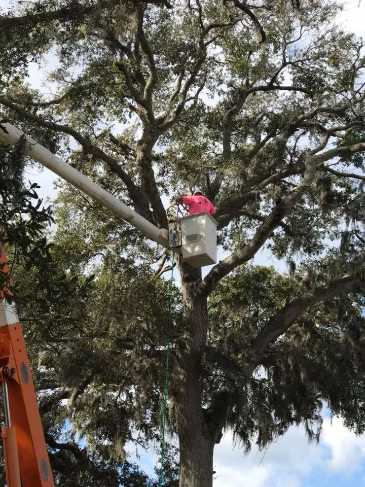 Local lawn care service in St. Augustine, FL - That Girl Lawn Care & Landscaping Design