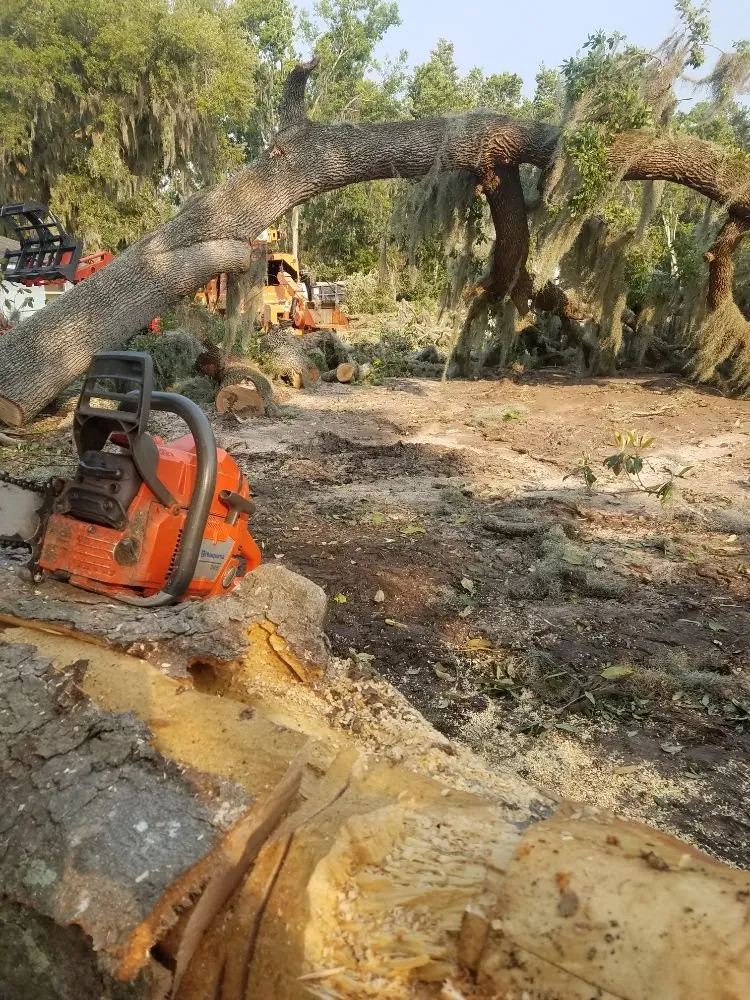 Professional residential landscaping in St. Augustine, FL - That Girl Lawn Care & Landscaping Design