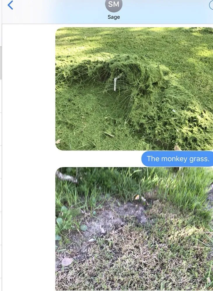 Custom landscape design for year-round maintenance across St. Augustine, FL - That Girl Lawn Care & Landscaping Design