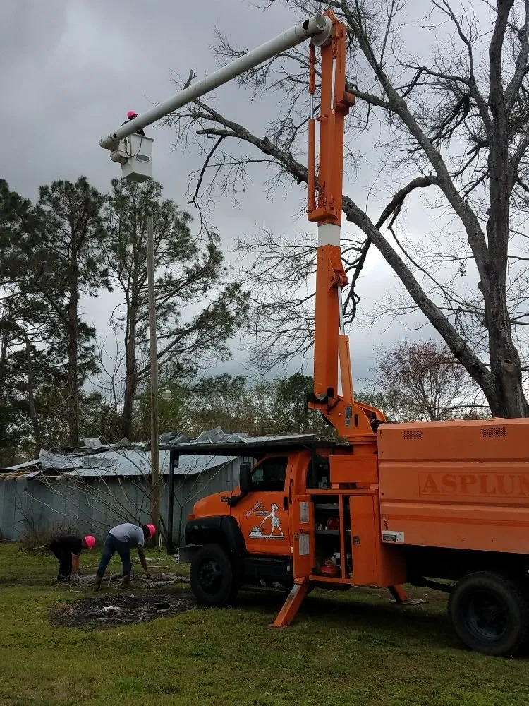 Top-rated landscape installation with custom design across St. Augustine, FL - That Girl Lawn Care & Landscaping Design