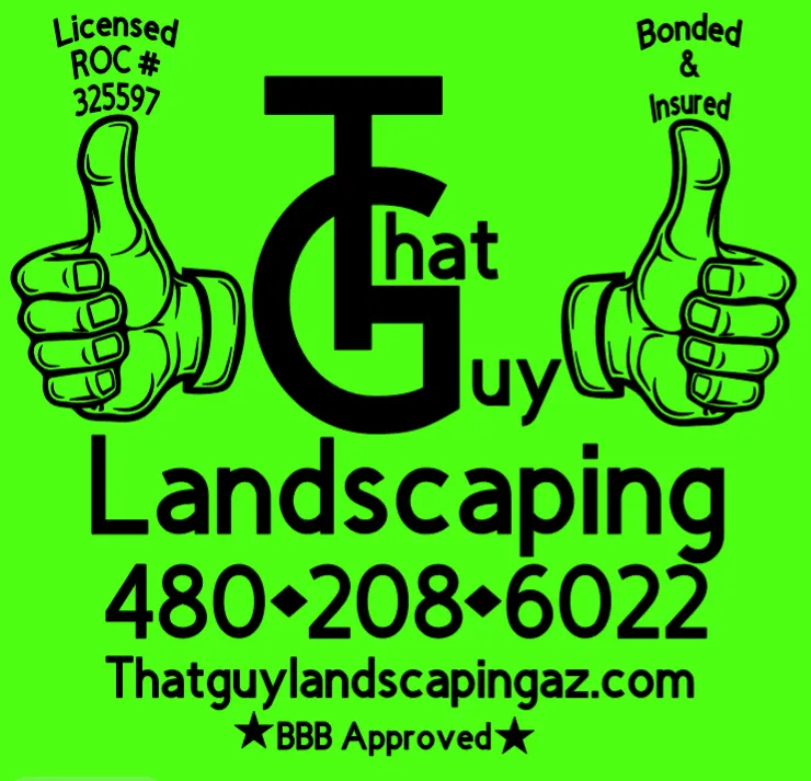 Trusted landscape installation in Apache Junction, AZ - That Guy Landscaping