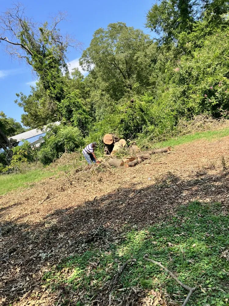 Expert yard cleanup service for beautiful yards in Spartanburg, SC by That guy landscaping