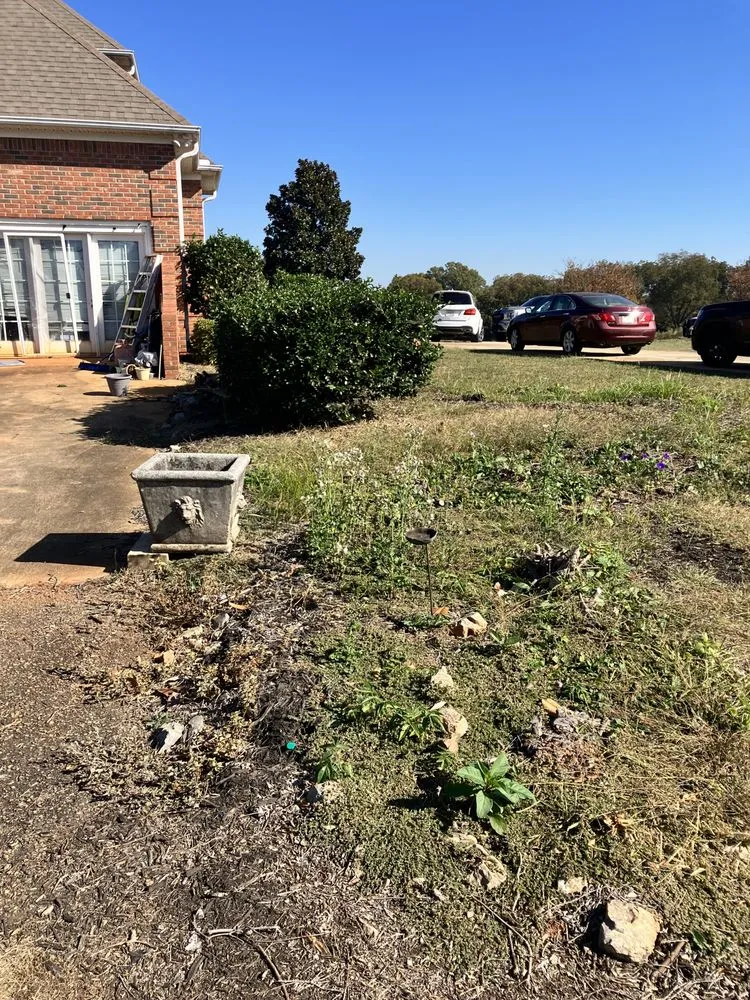 Top-rated yard cleanup service in Spartanburg, SC - That guy landscaping