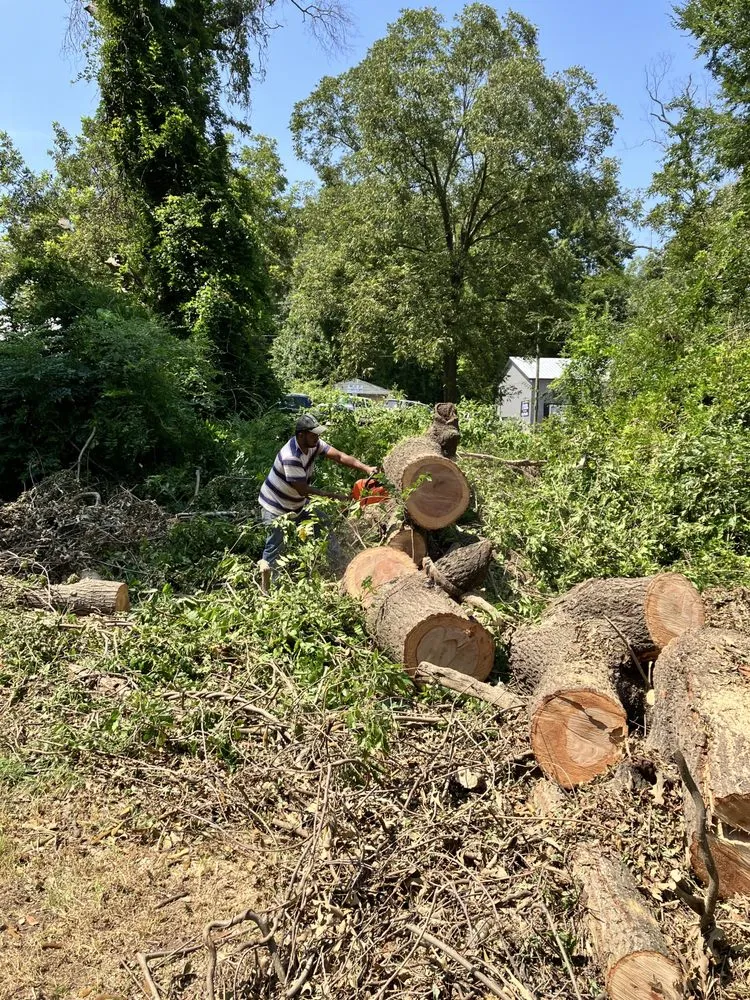 Affordable landscape installation experts serving Spartanburg, SC - That guy landscaping