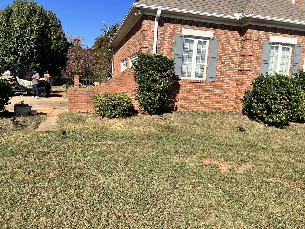 Trusted yard cleanup service experts serving Spartanburg, SC - That guy landscaping