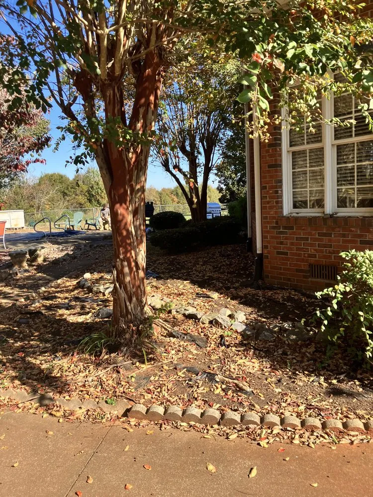 Expert landscape installation in Spartanburg, SC - That guy landscaping