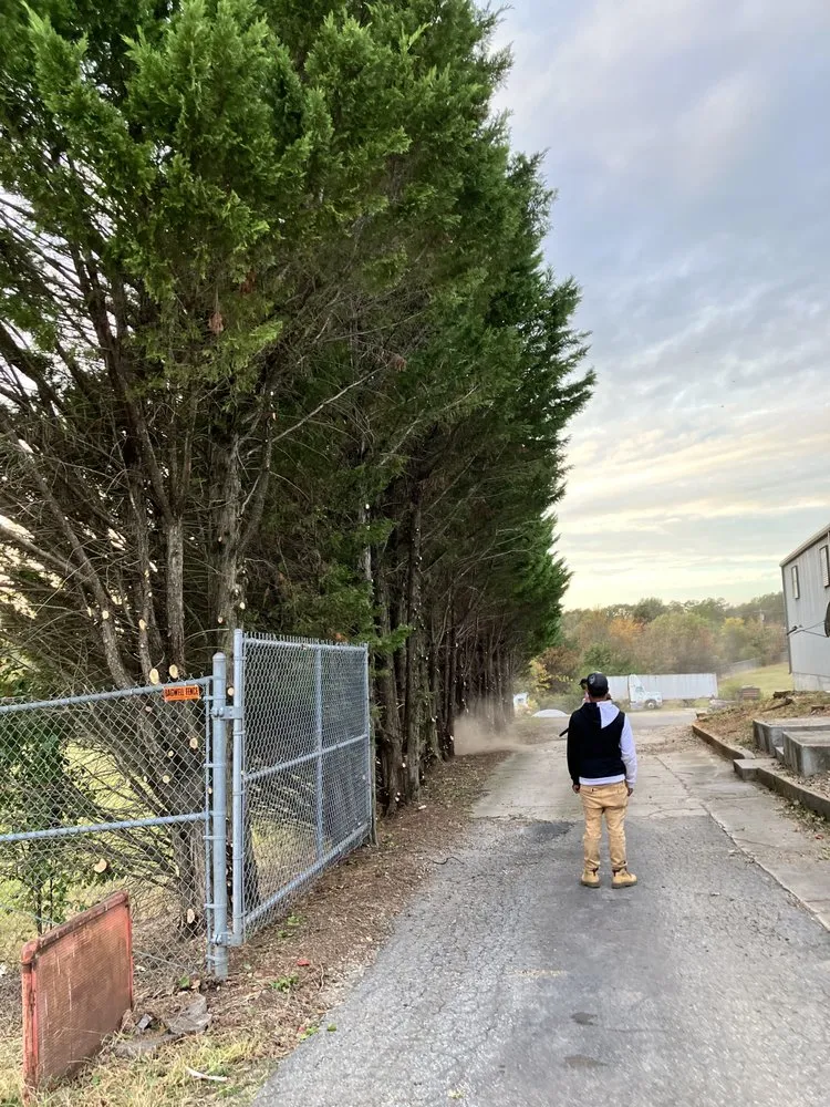 Professional garden landscaping for residential properties across Spartanburg, SC - That guy landscaping